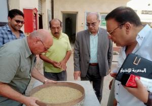 توريد 473 طن أرز شعير منذ بداية الموسم في محافظة الدقهلية