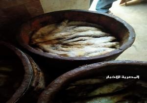 ضبط طن ونصف سمك مملح غير صالح للاستهلاك الآدمي بكفر الدوار