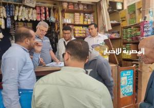 حملات مكثفة لضبط الأسعار والأسواق في كفرالشيخ