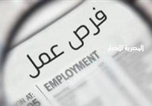 "القوى العاملة" تعلن عن 250 فرصة عمل بالدقهلية