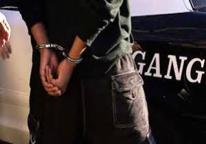 كوستاريكا ترحل شخصين مصريين بتهمة الانتماء لداعش