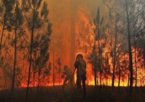 رجال الإطفاء يكافحون حرائق الغابات في اليونان لليوم الثاني