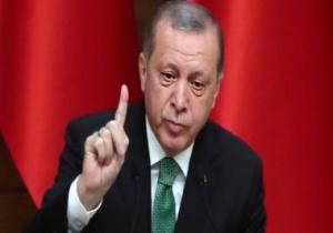 أردوغان يعين نفسه رئيسا للصندوق السيادي وصهره نائبا له