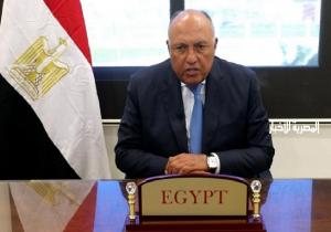 وزير الخارجية يؤكد على الدور الذي تضطلع به الدول العربية حاليًا نحو العمل لإنهاء الأزمة السورية الممتدة