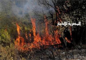 الجزائر تعلق جميع الفعاليات الفنية بسبب حرائق الغابات