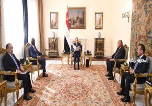 موقع رئاسة الجمهورية ينشر فيديو استقبال الرئيس السيسي وزير الشئون الخارجية والتعاون الموريتاني