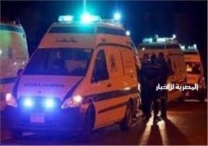 بالأسماء.. إصابة 10 أشخاص فى تصادم بين سيارتين بالبحيرة