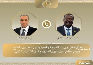 وزير الخارجية يبحث مع نظيره الكيني سبل تعزيز الأمن والاستقرار في منطقة شرق إفريقيا