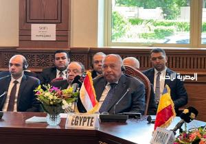 وزير الخارجية: مصر بدأت خطوات عملية في سبيل تحقيق هدف لم الشمل السوداني لمعالجة جذور الأزمة