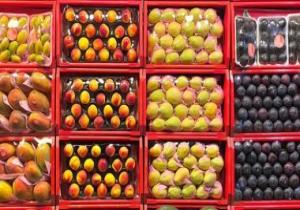 مشروع شبابى لبيع الفاكهة بشكل جديد على الإنترنت في الدقهلية.. صور