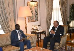 سامح شكري يستقبل وزير الخارجية والتعاون الدولي الجامبي