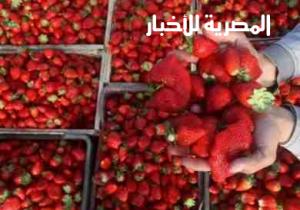 الغذاء السعودية.. تفجر مفاجأة عن "الفراولة المصرية"