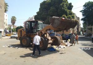 رفع 305 أطنان قمامة وأتربة من الشوارع والميادين والحدائق بمحافظة الدقهلية