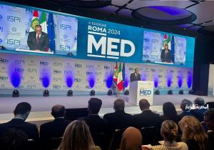 عبد العاطي: مصر ملتزمة بمكافحة الهجرة غير الشرعية في إطار نهج شامل
