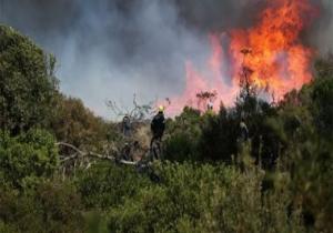 إسرائيل تدفع بفرق الإطفاء لإخماد حرائق متعددة نشبت في جميع أنحائها