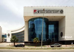 911.5 تمويلات الخدمات المالية غير المصرفية خلال 2024