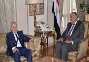 وزير الخارجية يؤكد مواصلة مصر لجهود توحيد المؤسسة العسكرية الليبية