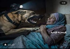 ,,,,,   "  هاجموا العجائز بالكلاب  "   ,,,,,