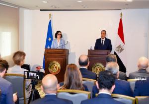 وزير الخارجية: مصر تقوم بجهود مخلصة لوضع حد للحرب في السودان ويجب معالجة الأوضاع الكارثية في دارفور