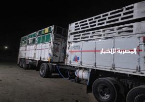 ضبط سيارة محملة بـ 60 طن تقاوى قمح قبل خروجها من محافظه البحيرة بدون تصريح