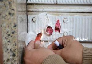 تشميع 4 مقاه ومصادرة 23 شيشة في مركز السنطة