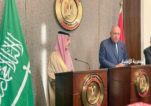 مصر والسعودية: نرفض أي محاولات لأطراف إقليمية للتدخل في الشئون الداخلية للدول العربية