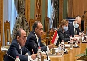 اجتماعات مصرية تشيكية فى القاهرة للتباحث حول سد النهضة ومكافحة الإرهاب
