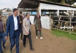 محافظ أسيوط يتفقد مزرعة الثروة الحيوانية بقرية أبنوب الحمام لمتابعة سير العمل