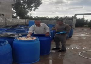 ضبط ٣ طن ملح مجهول المصدر و٤ طن مخلل  و ٢٠ كجم بويات منتهية الصلاحية وضبط ٥٥ شيشة وإزالة ١٢٨ إشغال بالبحيرة