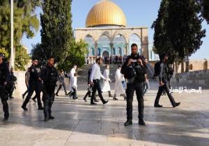 مصر تدين اقتحام المتطرفين للمسجد الأقصى تحت حماية الشرطة الإسرائيلية