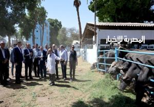 رئيس الوزراء يتفقد محطة الثروة الحيوانية بقرية "الحمام" بمركز أبنوب |صور