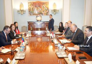 بدء جلسة مباحثات ثنائية موسعة مصرية وفنزويلية برئاسة وزيري خارجية البلدين | صور