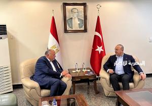 ‏وزير الخارجية يصل تركيا لنقل رسالة تضامن من مصر.. ونظيره التركي في استقباله| صور