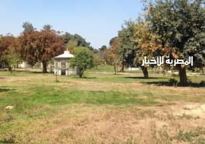 الجيزة تكثف إستعداداتها لإستقبال عيد الفطر.. غلق المتنزهات والحدائق وأماكن الترفيه
