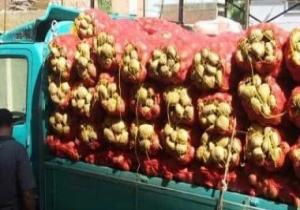 دواوين الوزارات × 24 ساعة.. الزراعة: إنتاج مصر من البطاطس 6 ملايين طن سنويا