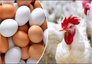أسعار الأسماك والخضروات والدواجن اليوم الثلاثاء 19 نوفمبر
