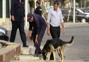 اوروبا تمارس ضغوطا على مصر "كندا وبريطانيا تغلقان سفاراتهما بالقاهرة"