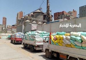 توريد 160 ألف طن قمح بشون وصوامع الدقهلية