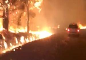 النيران تحرق الأخضر واليابس في كاليفورنيا والسلطات تجلى السكان