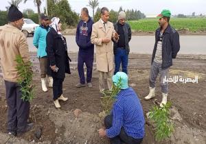 رئيس مدينة بلقاس: رفع كفاءة مدخل المدينة وتجميلها هدية للمواطنين في العام الجديد