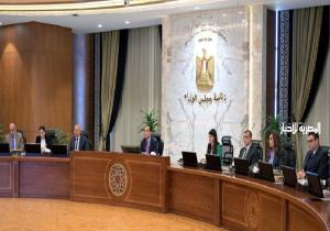 مجلس الوزراء: الموافقة على إقامة مُشروع جديد بنظام المناطق الحرة الخاصة ببرج العرب