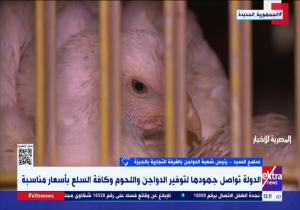 رئيس شعبة الدواجن: تطبيق قانون بيع الدواجن المُبردة خطوة لضبط الأسعار وحماية صحة المواطنين