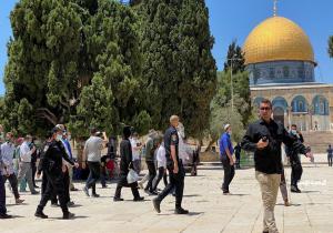 مستوطنون إسرائيليون يقتحمون باحات المسجد الأقصى