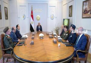 الرئيس السيسي يُوجه بتسريع استكمال منظومة التغذية الكهربائية الإضافية المطلوبة لمشروع «الدلتا الجديدة»