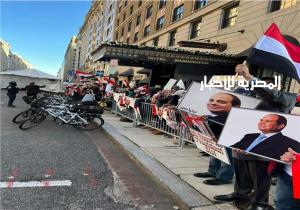 صور | الجالية المصرية فى واشنطن تستقبل الرئيس السيسي