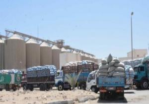توريد 43487 طن قمح حتى الآن بمطاحن وشون الدقهلية