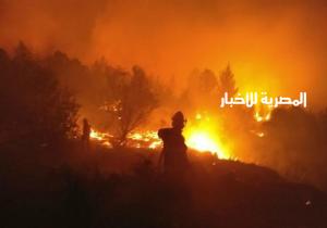 خبير أمني يكشف سبب مشاركة مصر في إطفاء حرائق "إسرائيل"