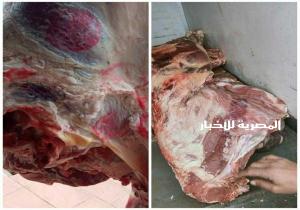 ضبط 8 محلات جزارة بإيتاى البارود  لعرضهم لحوم غير صالحة للاستهلاك الآدمي