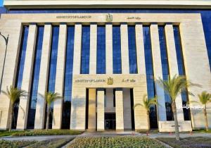 وزارة العمل: 2569 فُرصة عمل جديدة في 69 شركة خاصة تنتظر شباب 15 مُحافظة| إنفوجراف