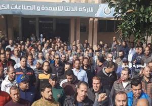 ومازال إعتصام عمال سماد طلخا مستمرا احتجاجًا على غلق المصنع